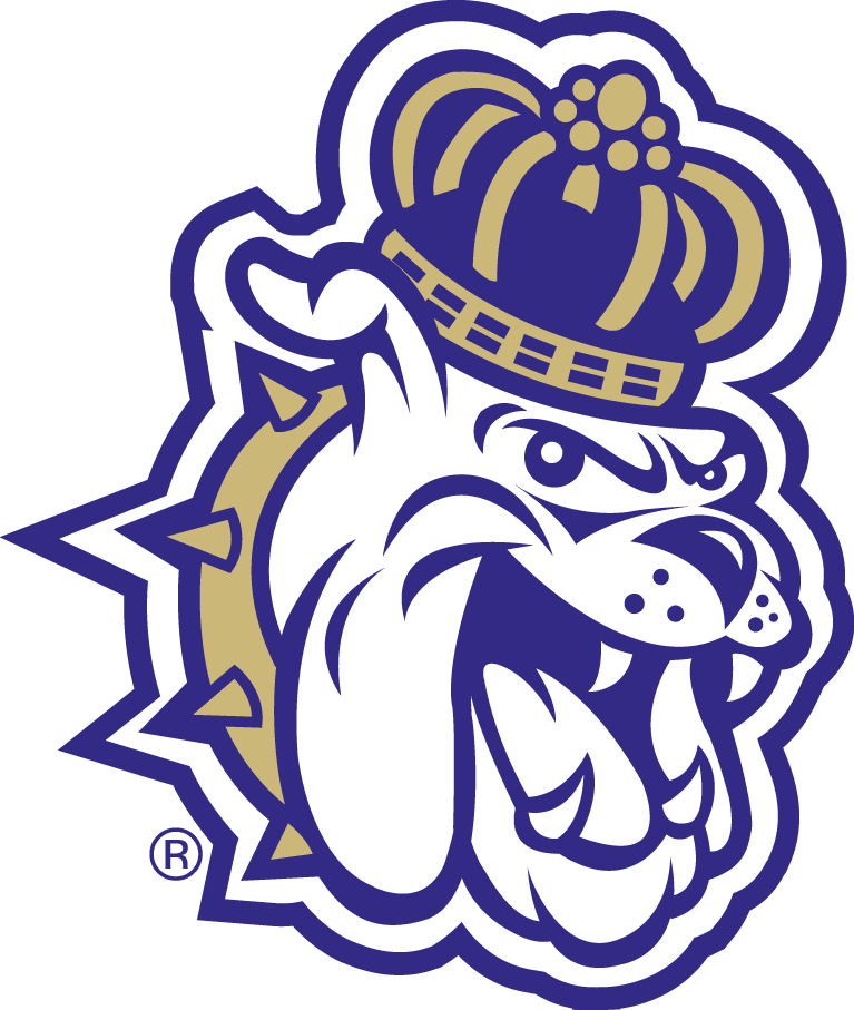 James Madison Dukes 2013-2016 Alternate Logo 03 iron on paper